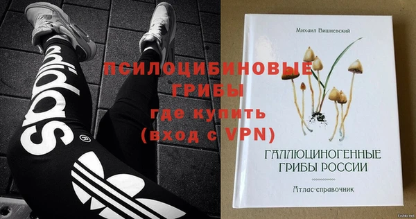 соль ск Арсеньев