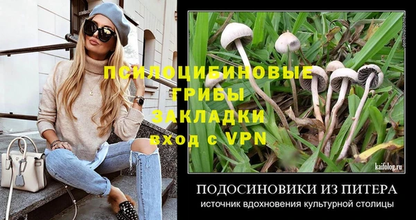 амф Армянск